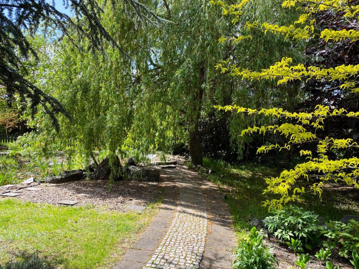 Hotel Garden Oleśnica Exteriér fotografie